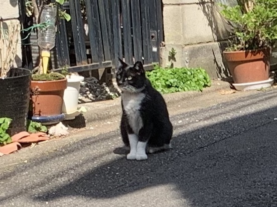 広尾から品川まで歩く(2) 慶應義塾大学と泉岳寺_b0330040_09203547.jpeg