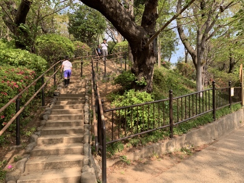 b0330040_21173056.jpeg