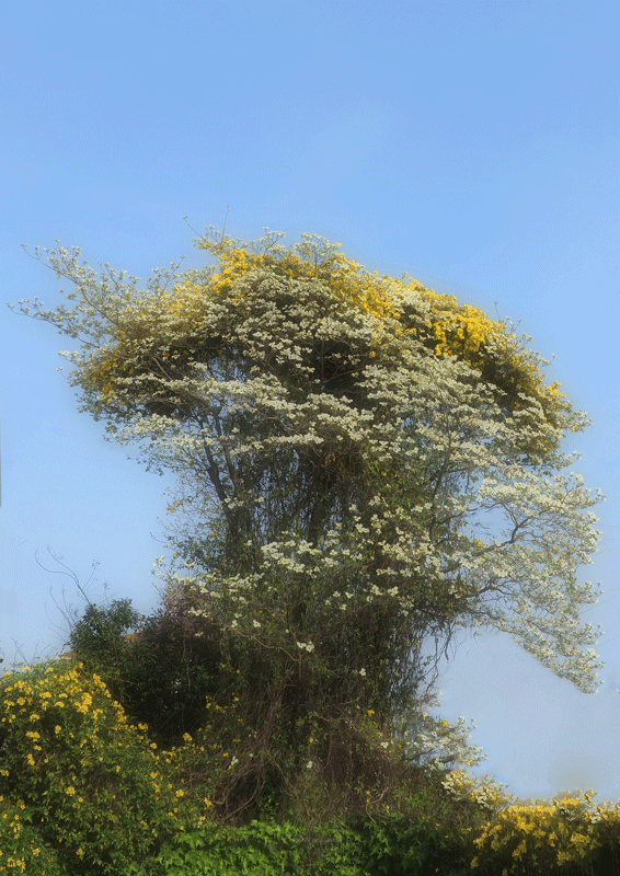 d0290240_18403516.gif