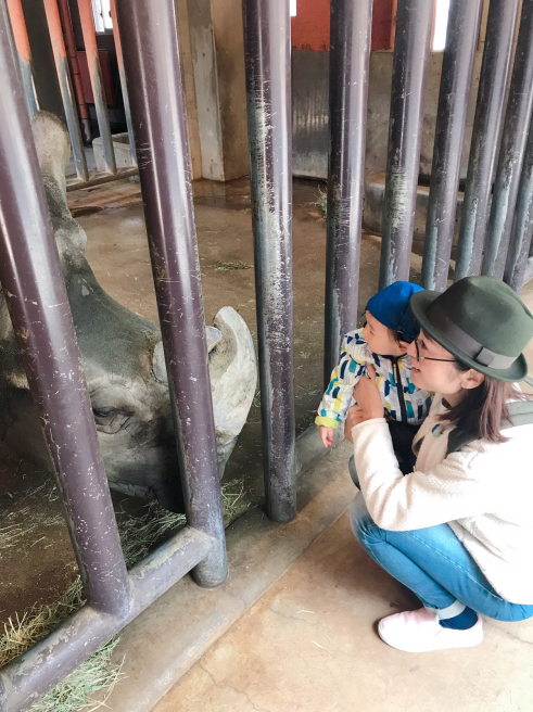 子どもの遊び場について〜①盛岡市動物公園_b0199244_00221652.jpg