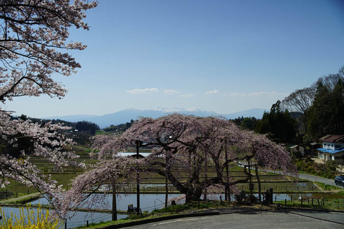 a0324049_09555562.jpg