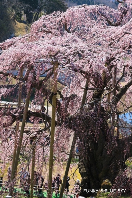 c0145250_09341499.jpg