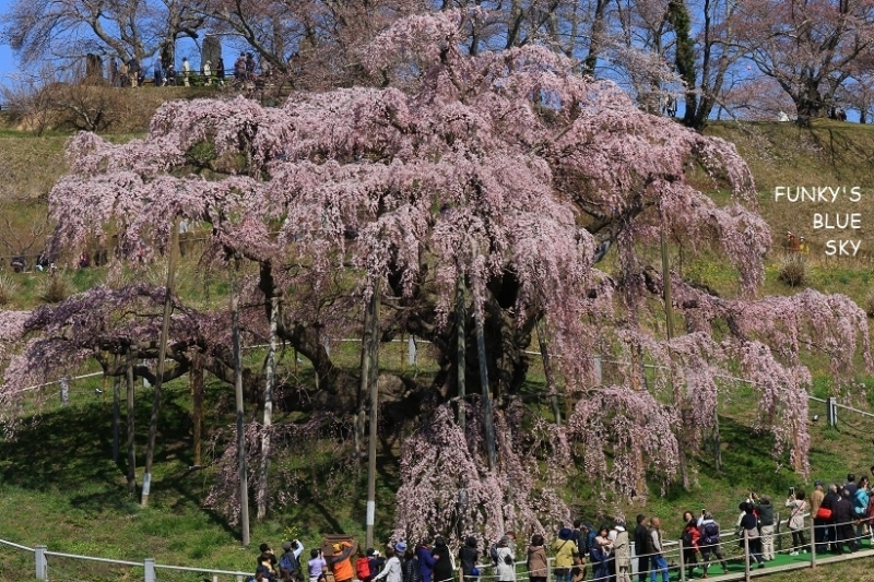 c0145250_09343560.jpg