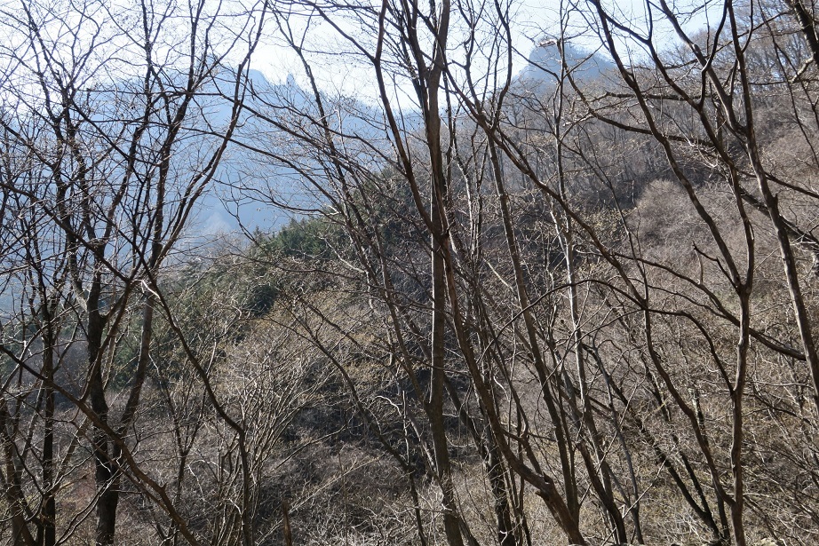 荒船山（威怒牟畿不動から）_a0286351_14473587.jpg