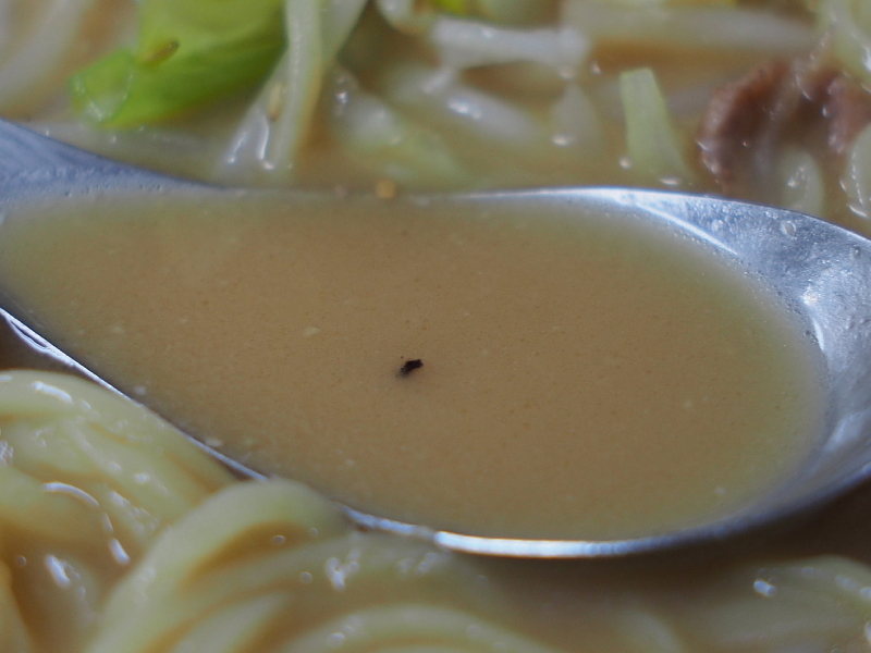 【これだからローカルはたまらない!】蝦夷ラーメン @蝦夷 埼玉県日高市_b0008655_20090211.jpg