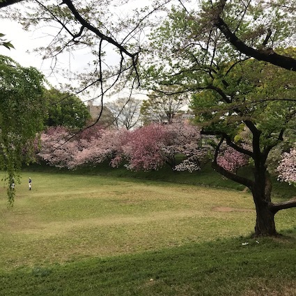 c0113755_01165668.jpeg