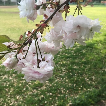 c0113755_01170169.jpeg