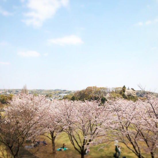 新学期…ちょっと落ち着いてきました。_f0089355_00425435.jpg