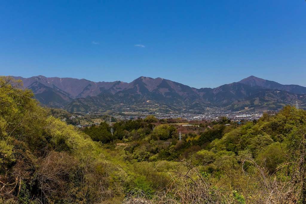 野草と山を見ながら頭高山へ_f0044056_16404999.jpg