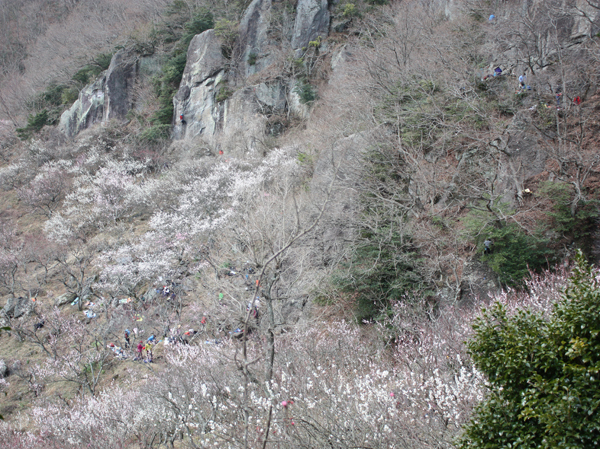 幕山登山_a0154957_10062065.jpg