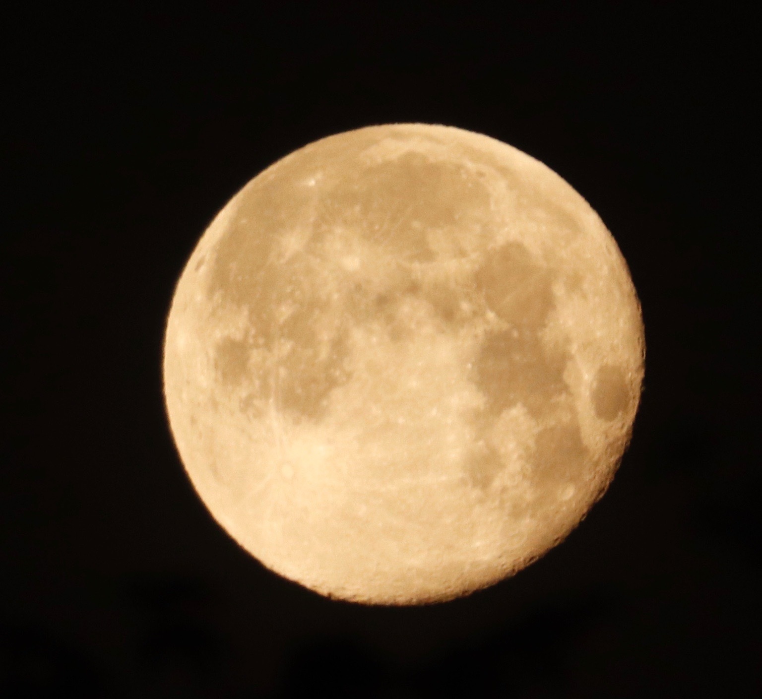 a0248459_14564110.jpg