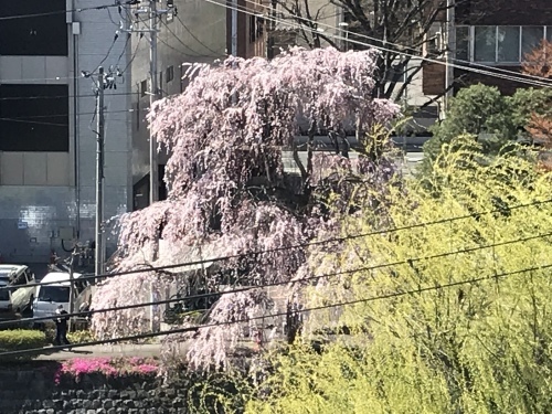 c0177259_15140526.jpeg