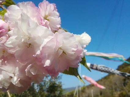 いきいきと…_b0368362_04483124.jpg