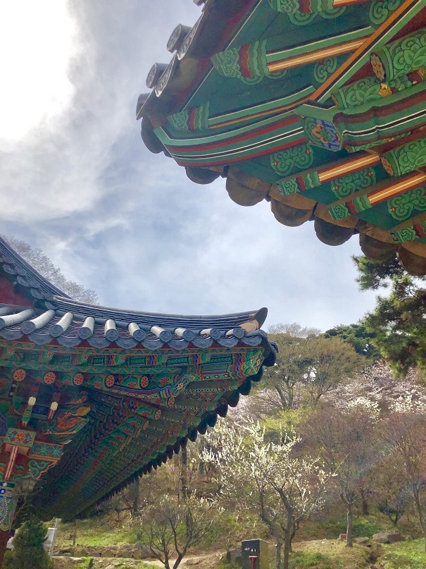ソウルから江華島(カンファド)へ_b0060363_16280330.jpeg