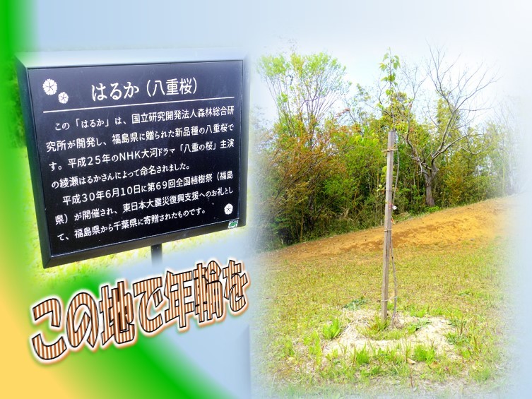 f0214467_09582825.jpg