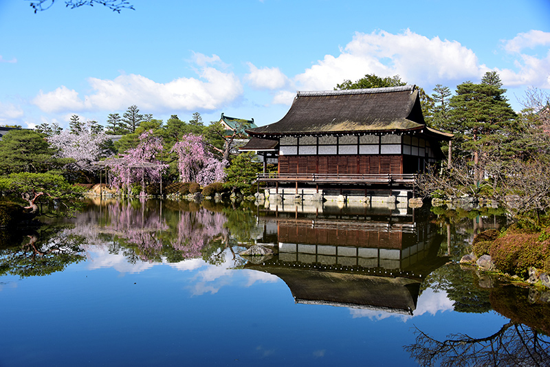 平安神宮 神苑 ちょっとそこまで