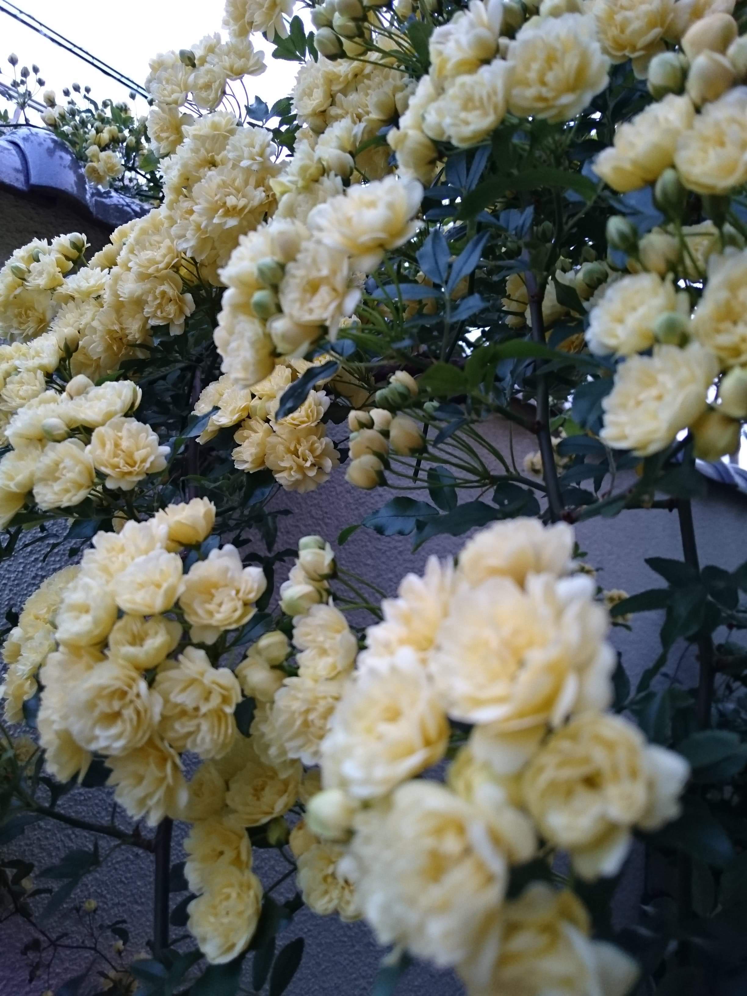 c0194171_22224605.jpeg