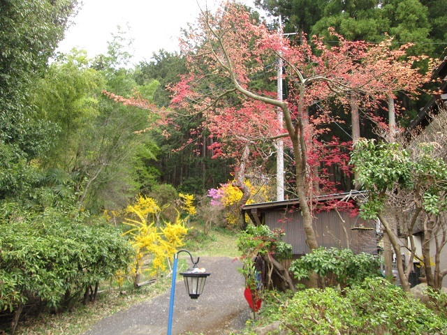 b0046473_16110963.jpg