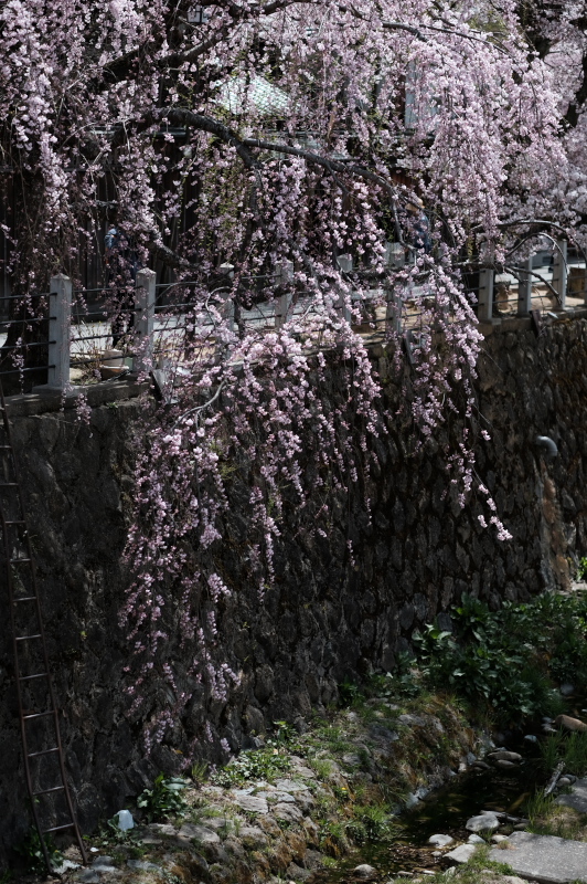 e0015174_20115836.jpg