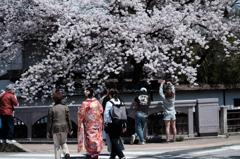 高山 古川 19.04.20_e0015174_20191385.jpg