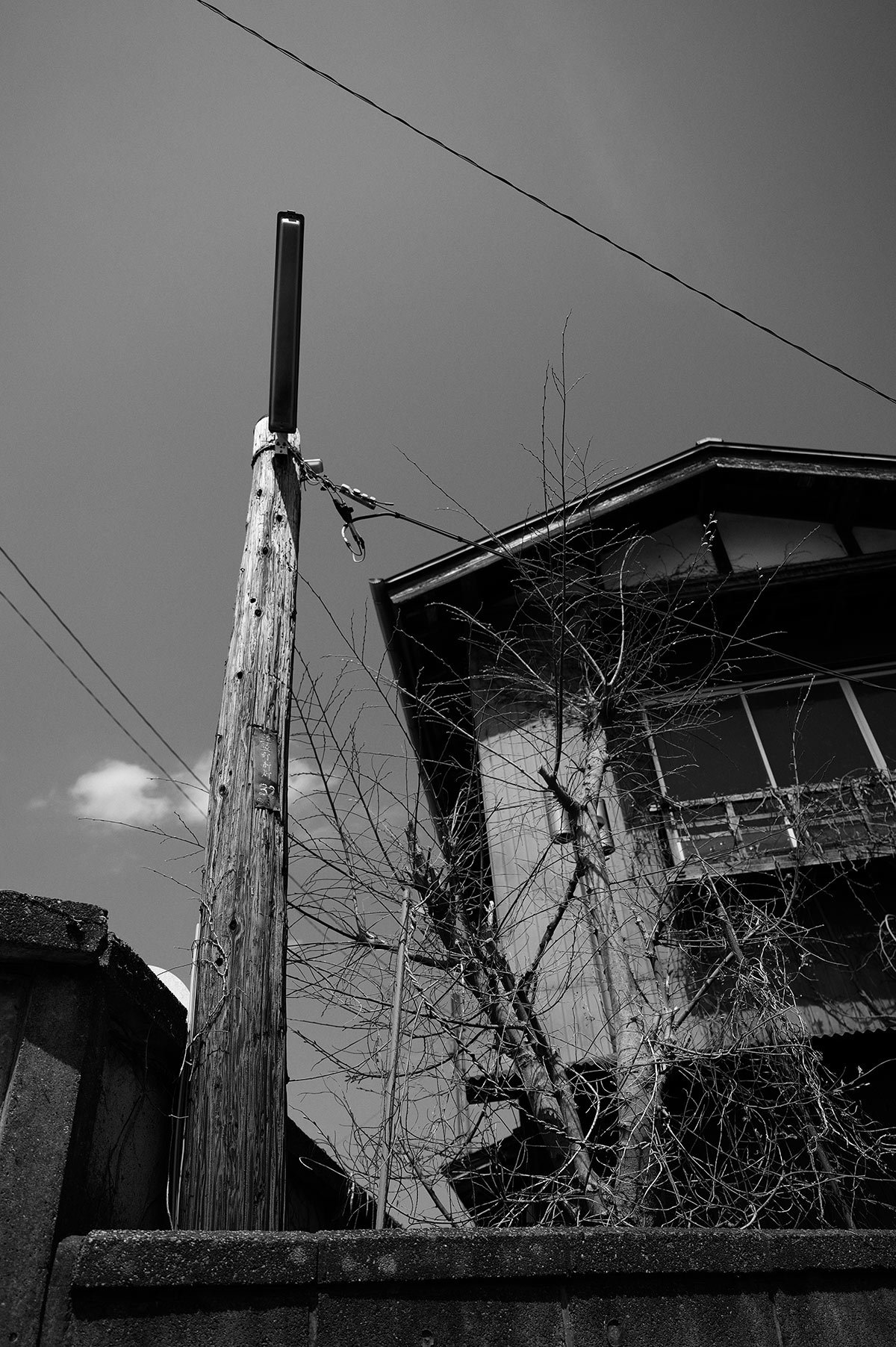 f0121181_03391012.jpg