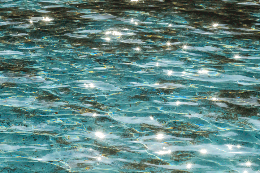 e0243382_06314471.gif
