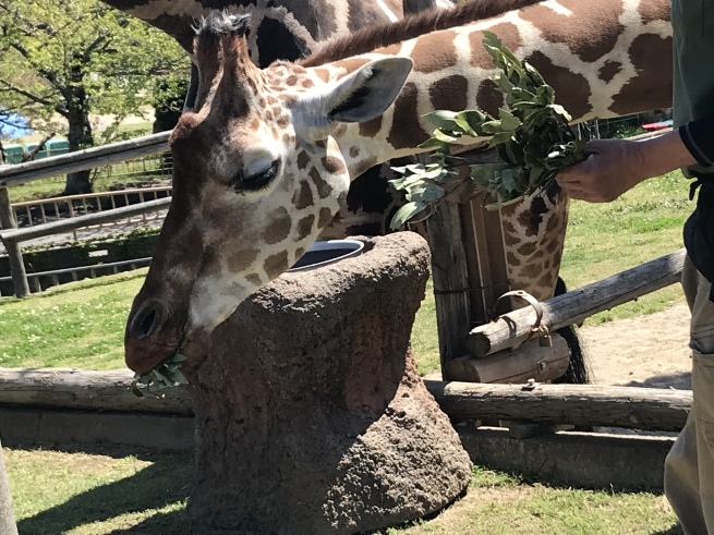 c0191985_13253896.jpeg