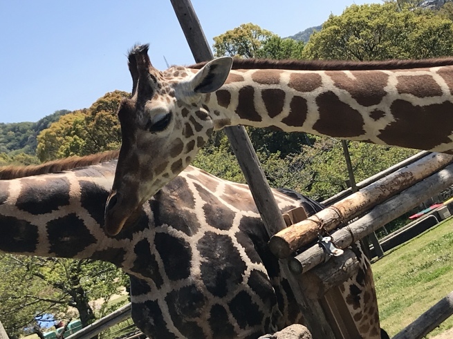 c0191985_13261340.jpeg