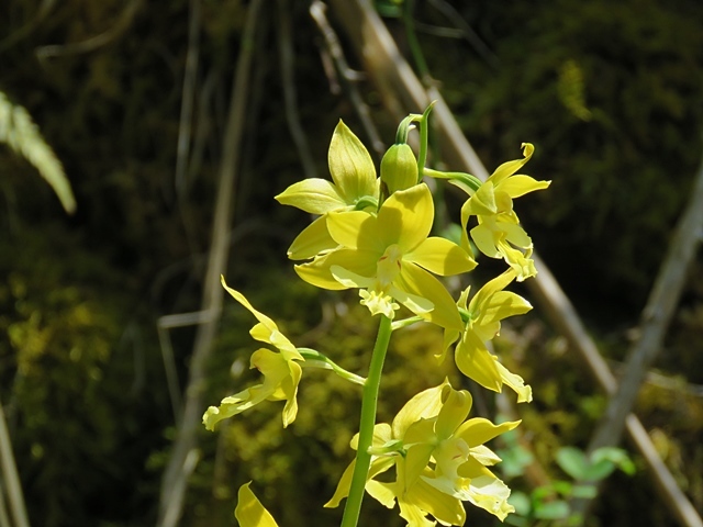 f0357487_22134667.jpg