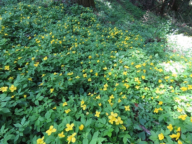 f0357487_22151274.jpg