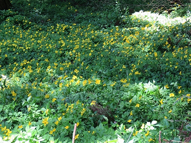 f0357487_22153501.jpg