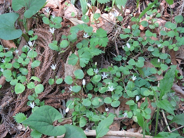 f0357487_22173441.jpg