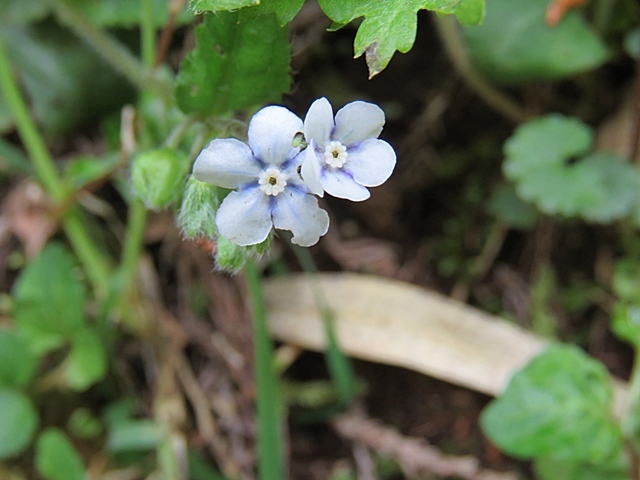 f0357487_22180679.jpg