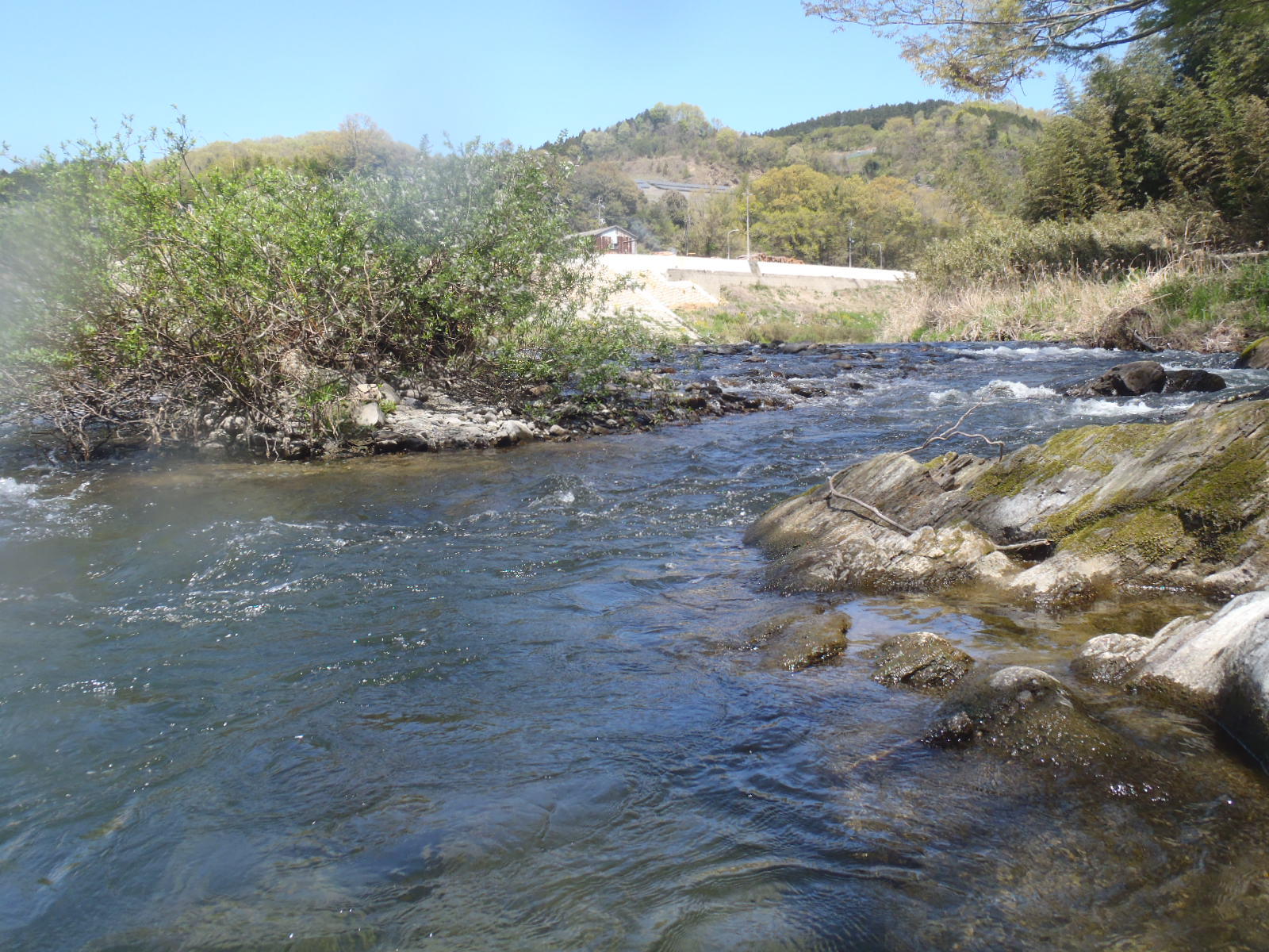 b0139489_20465233.jpg