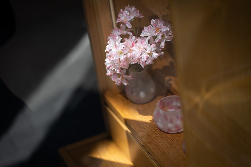 桜の季節を見送る光蜥蜴_d0353489_16391148.jpg