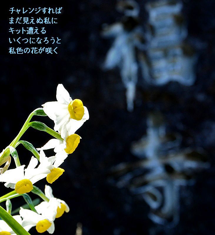 e0360589_20574073.jpg