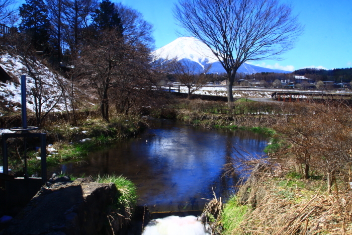 31年4月の富士（18）農村公園の富士_e0344396_15330618.jpg