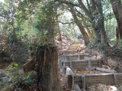 f0308898_20571524.jpg