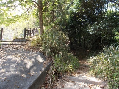 f0308898_20571556.jpg