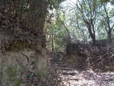f0308898_20571607.jpg