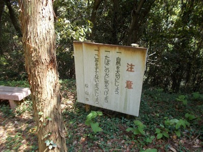 f0308898_20571673.jpg