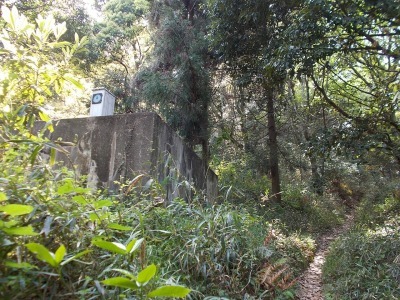 f0308898_20582047.jpg