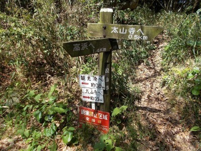 f0308898_20582224.jpg