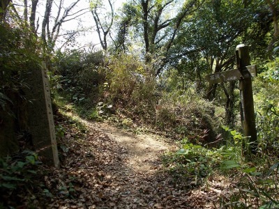 f0308898_20582243.jpg