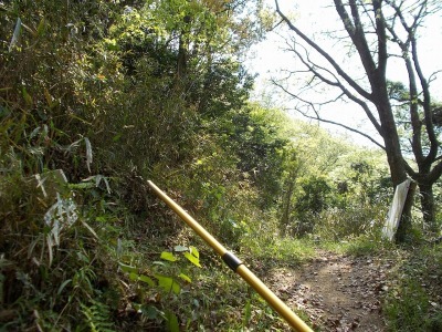 f0308898_20591345.jpg