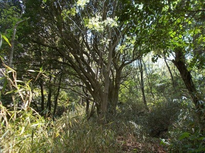 f0308898_20591427.jpg