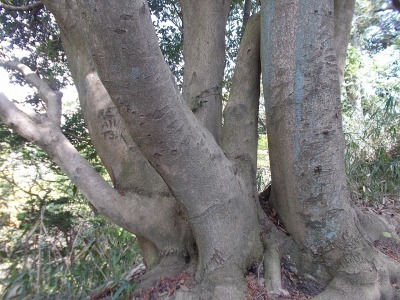 f0308898_20591443.jpg