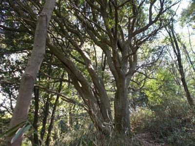 f0308898_20591447.jpg