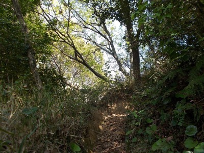 f0308898_20591489.jpg
