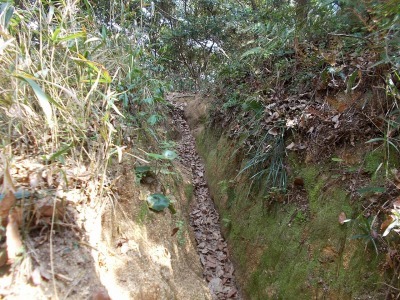 f0308898_20591501.jpg